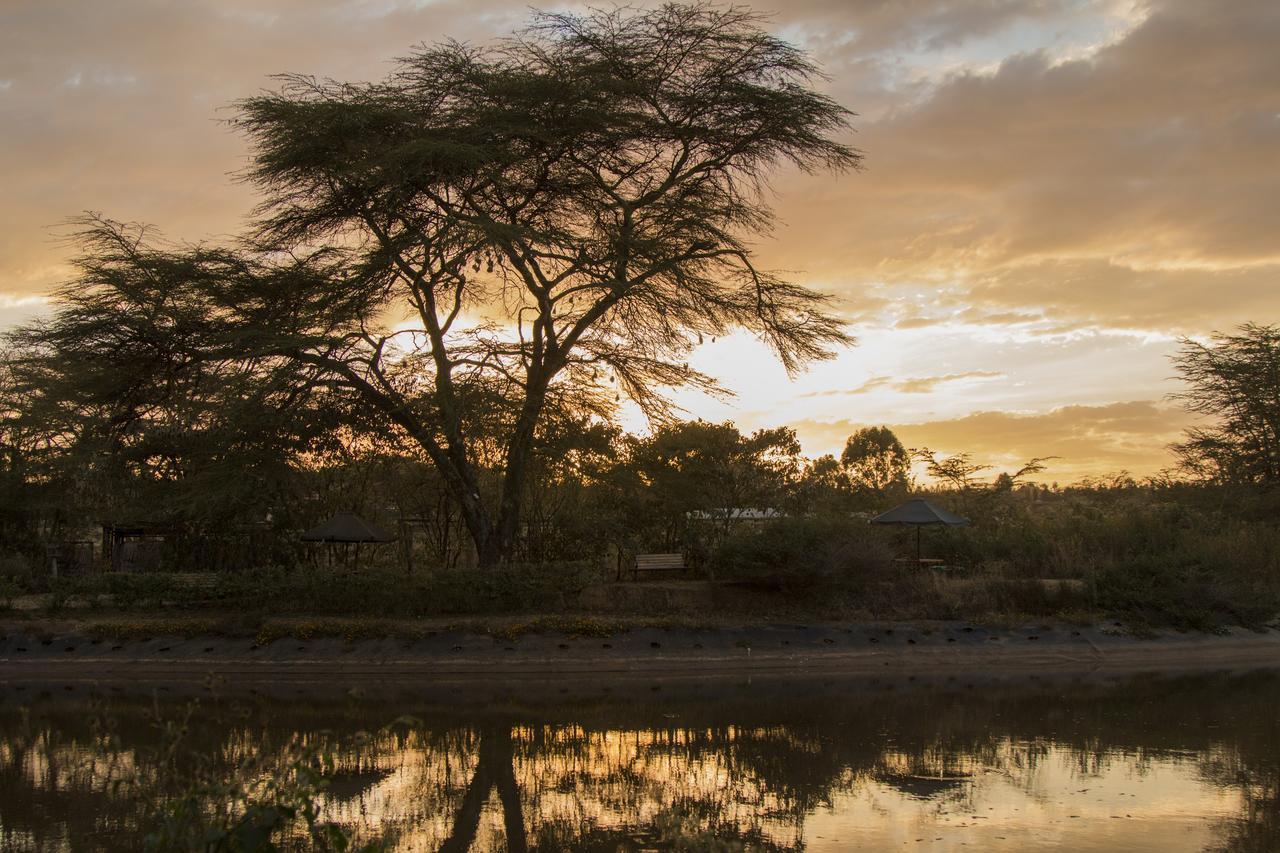 Ziwa Bush Lodge Nakuru Exteriér fotografie